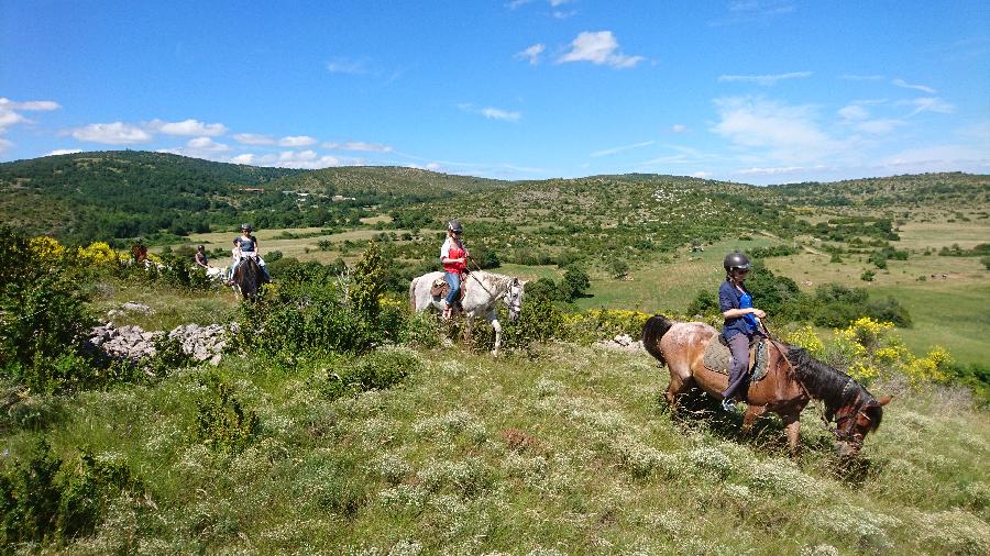 Balade  cheval   photo 3