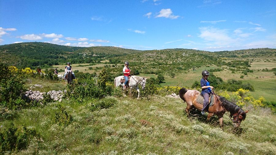 sejour Gard Parc National des Cvennes photo 3