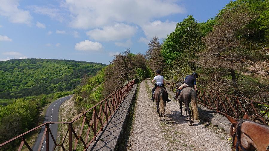 Balade  cheval Gard Parc National des Cvennes photo 5