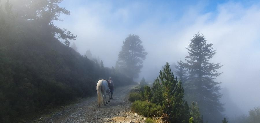 Voyage à cheval Gard PNR du Haut-Languedoc photo 4