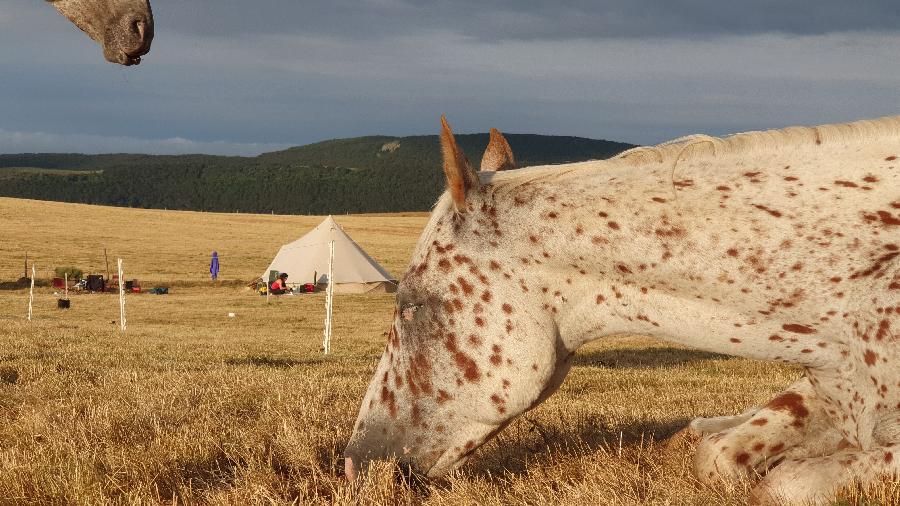 Voyage  cheval Cantal Massif Central photo 3