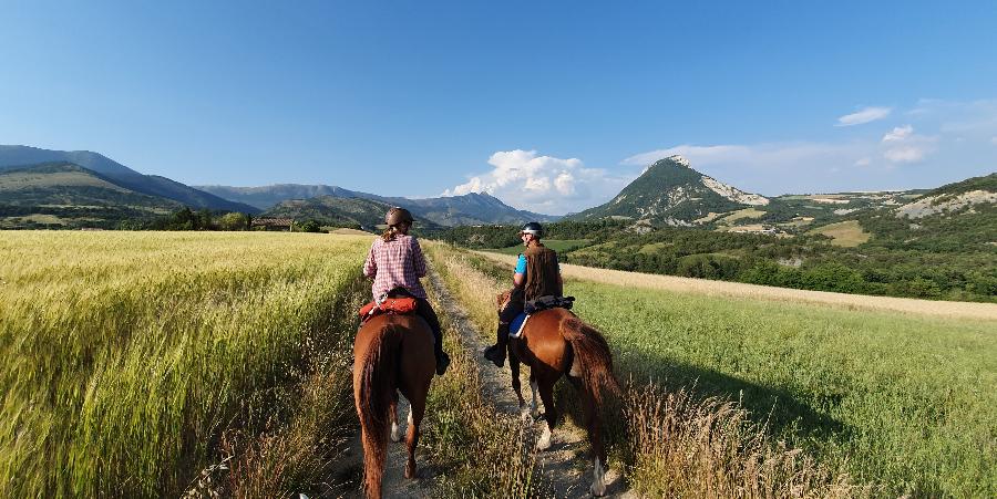 Voyage  cheval Vaucluse Luberon photo 2