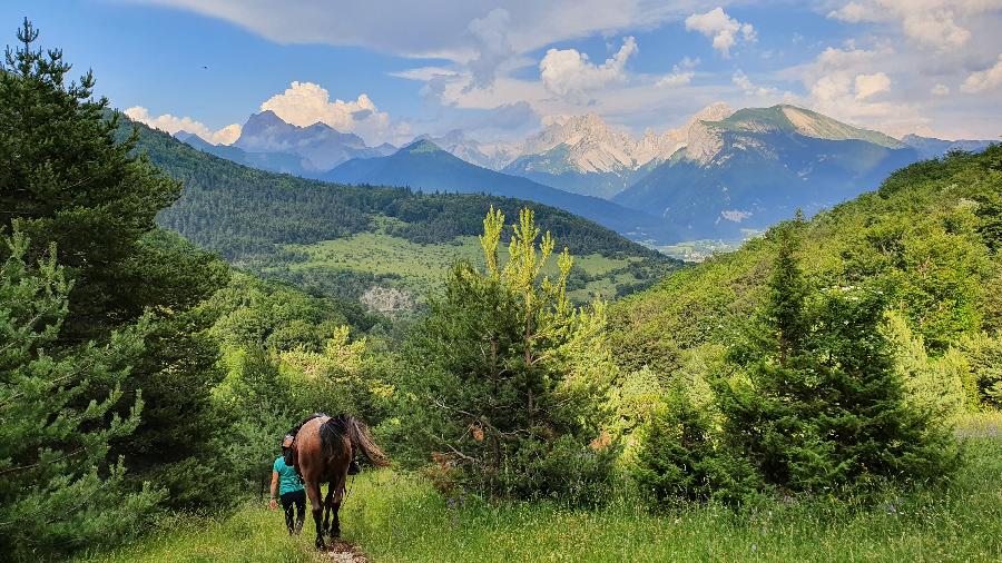 Voyage  cheval Vaucluse Luberon photo 3