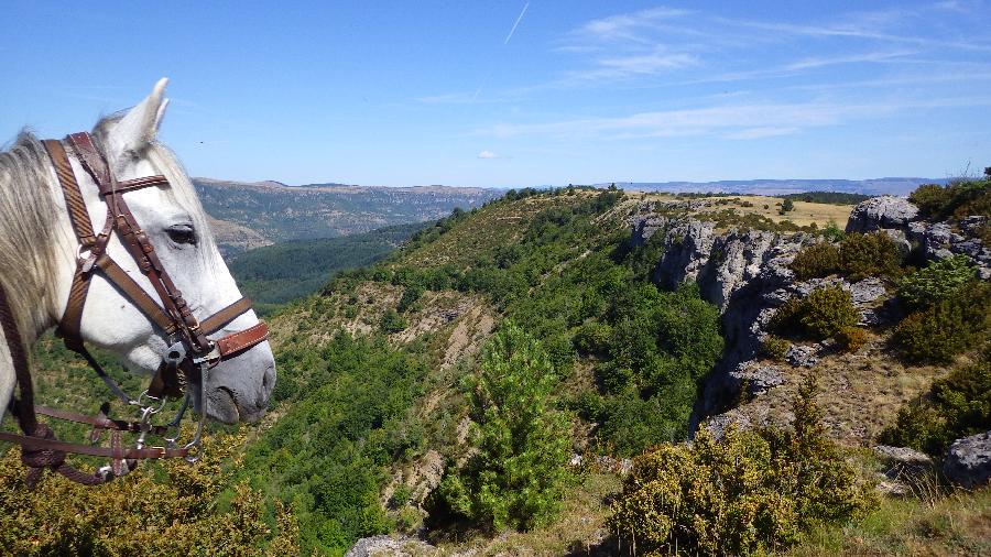 Randonne questre Lozre Parc National des Cvennes