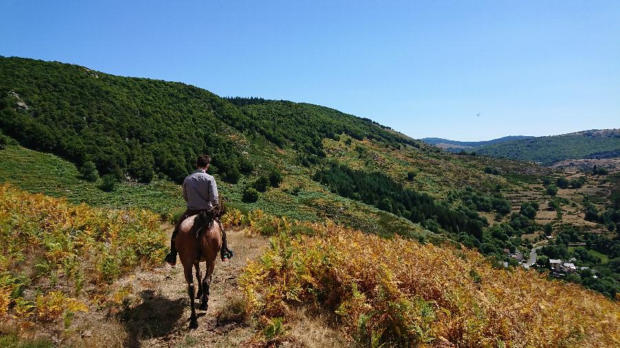 sejour Lozre Parc National des Cvennes photo 4