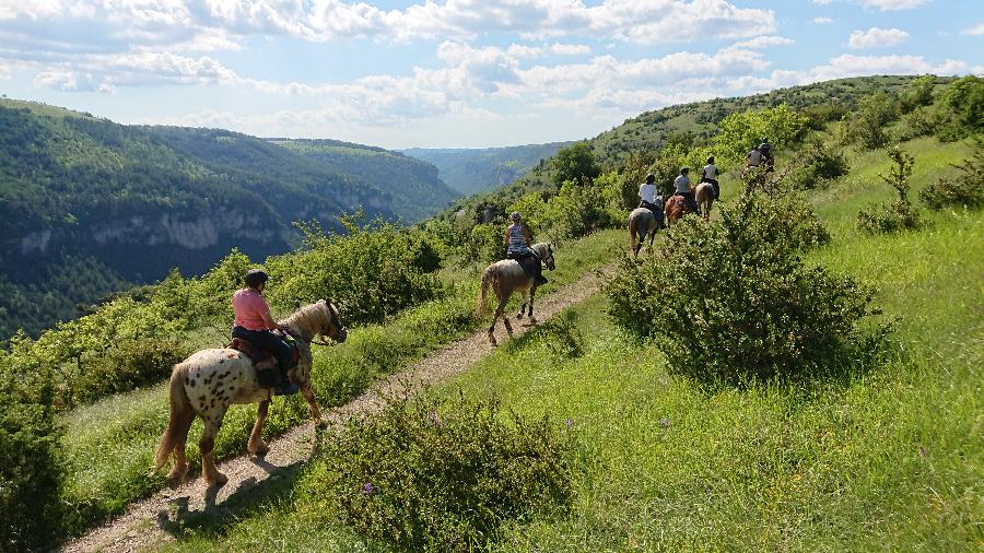 Sjour questre Lozre Parc National des Cvennes photo 5