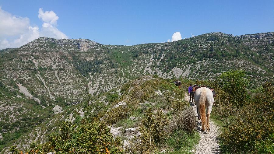 Randonne questre Gard Parc National des Cvennes photo 3