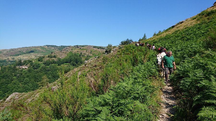 Randonne questre Gard Parc National des Cvennes photo 4