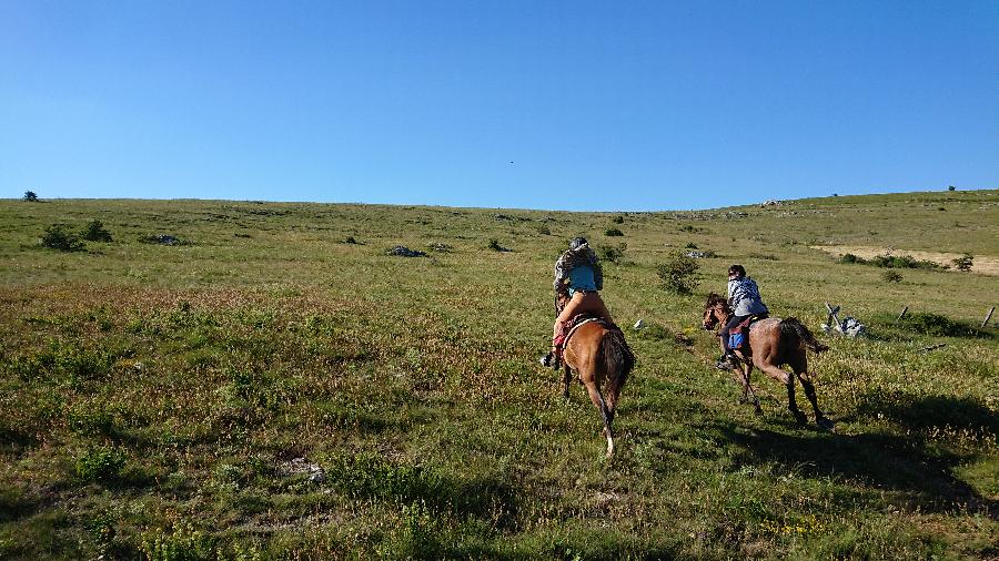 Voyage  cheval Hautes-Alpes  photo 6