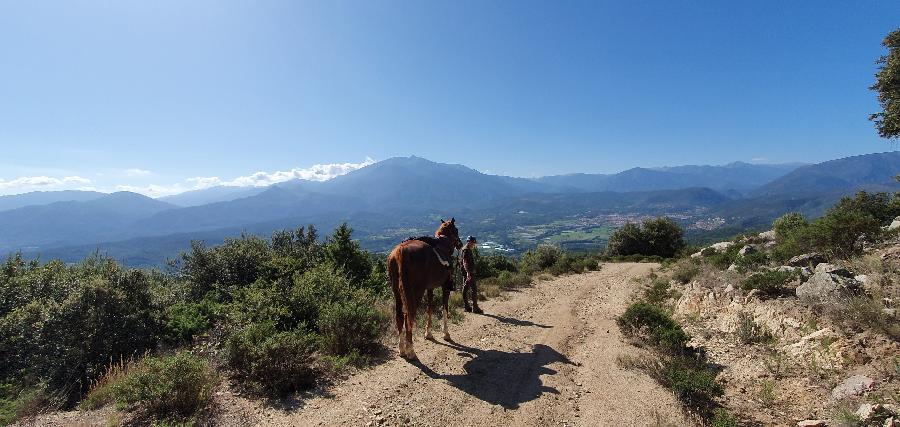 Voyage  cheval Hautes-Alpes  photo 4