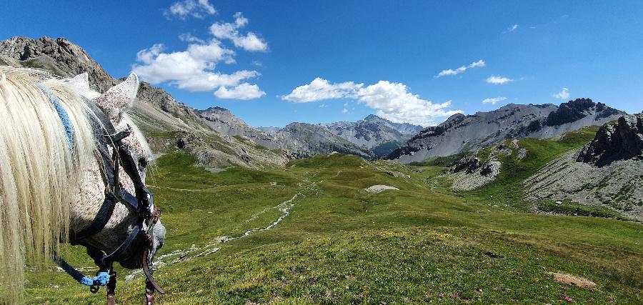 rando Randonne questre Hautes-Alpes