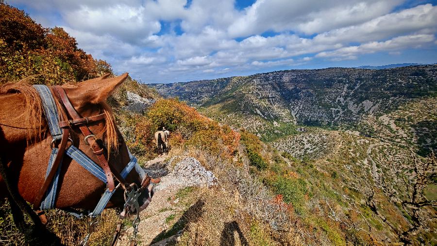 Sjour questre   photo 5