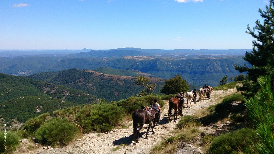 Sjour questre Lozre Parc National des Cvennes photo 6