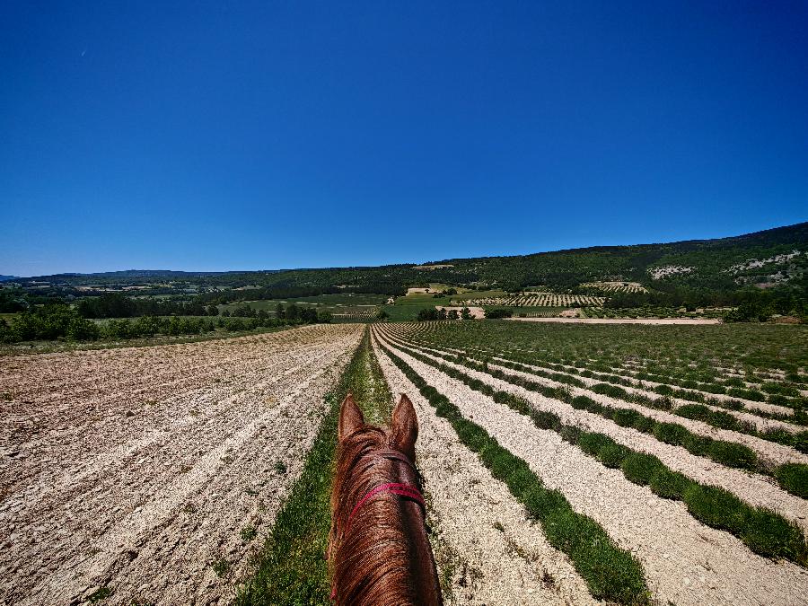 S�jour �questre   photo 5