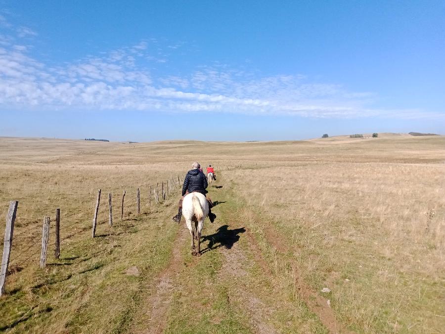 Sjour questre   photo 3