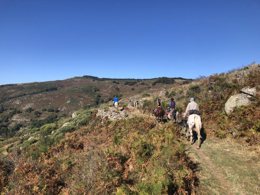 Sjour questre   photo 4