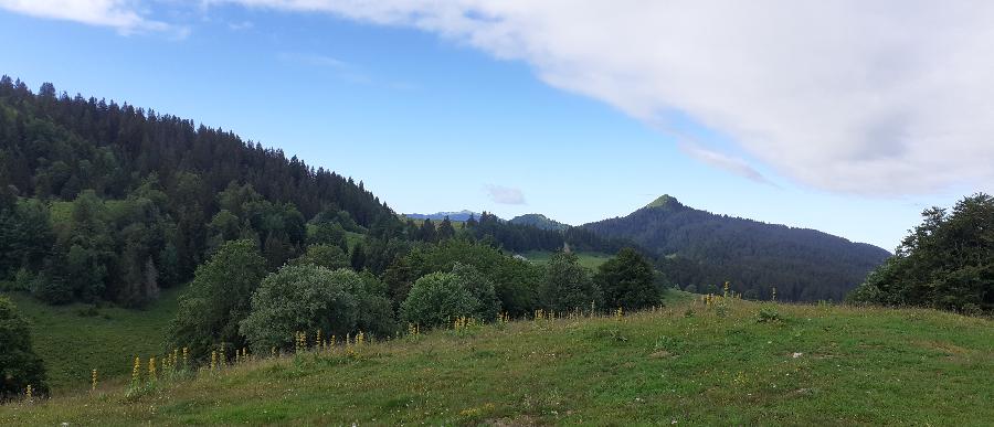 Randonne questre Jura PNR du Haut-Jura