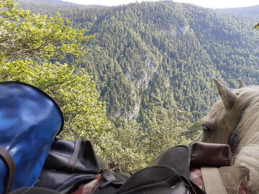 Randonne questre Jura PNR du Haut-Jura photo 6