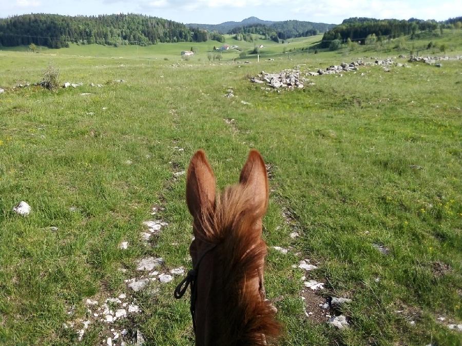 rando Randonne questre Jura