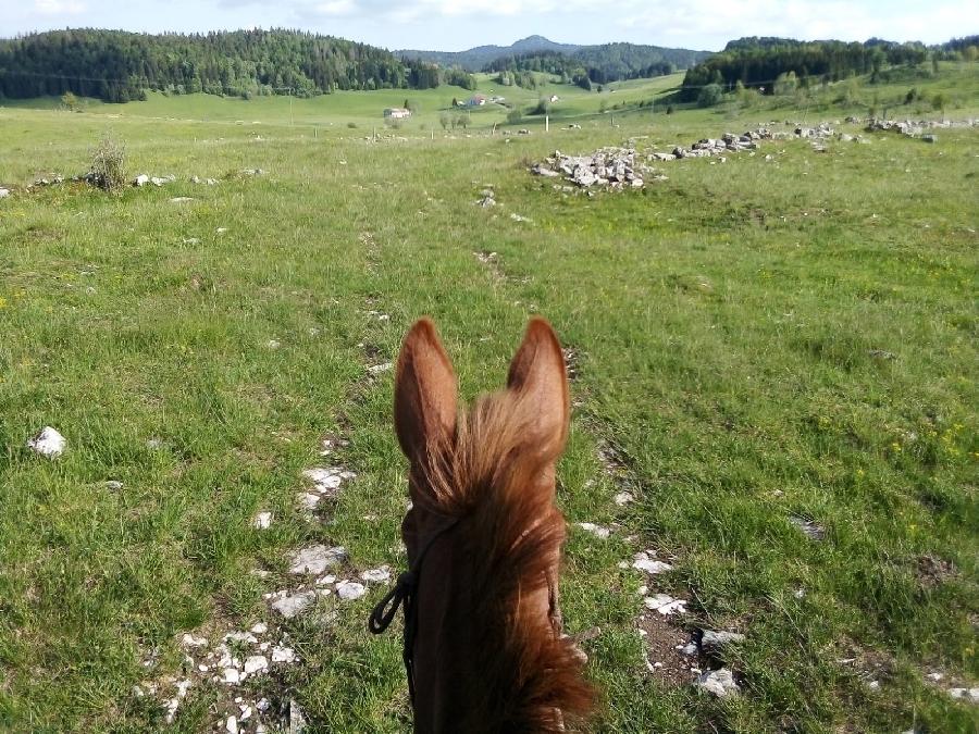 Sjour questre Jura PNR du Haut-Jura