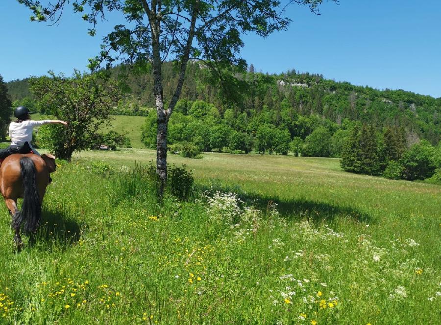 sejour Jura PNR du Haut-Jura photo 5