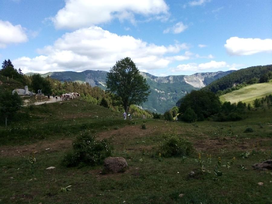 Randonne questre Jura PNR du Haut-Jura