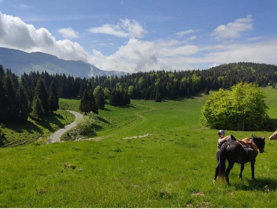 Randonne questre Jura PNR du Haut-Jura photo 4