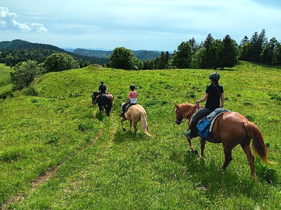 S�jour �questre   photo 2