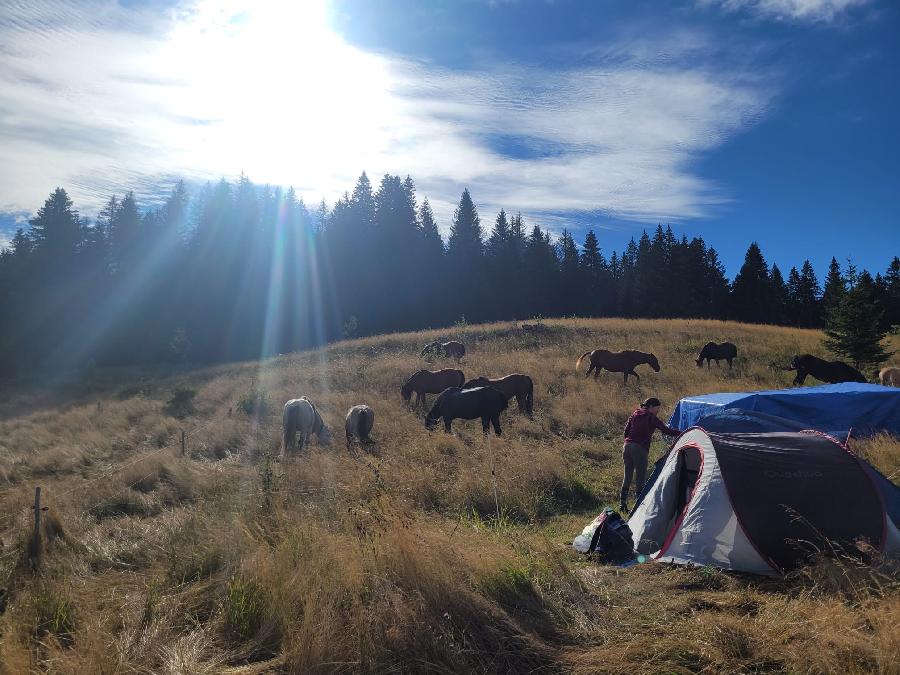 S�jour �questre   photo 3