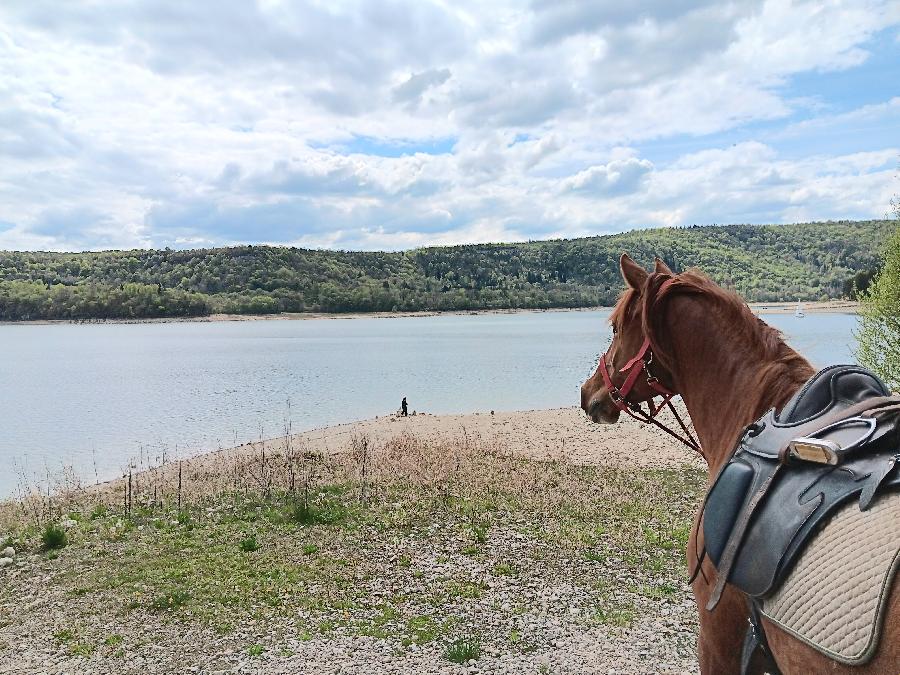 S�jour �questre   photo 4