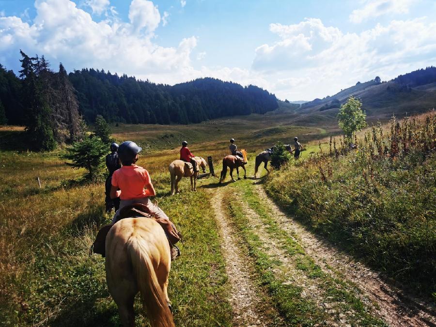 S�jour �questre   photo 5