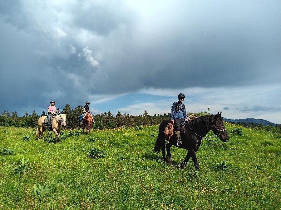 S�jour �questre   photo 6