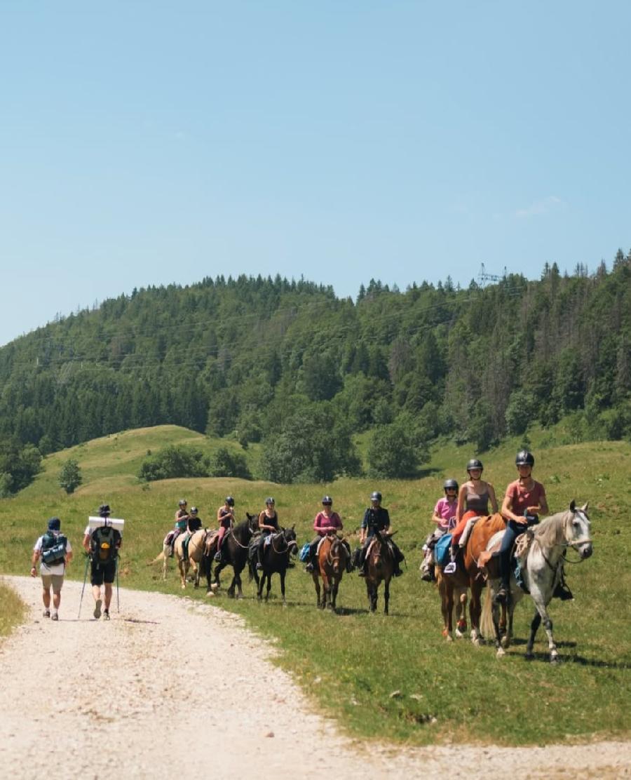 S�jour �questre   photo 6