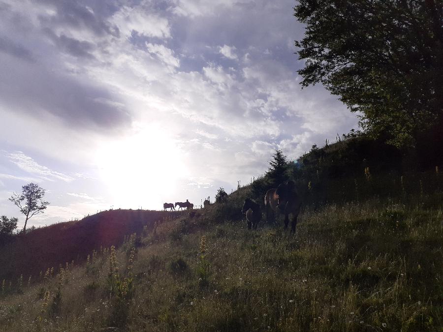 Balade  cheval Jura PNR du Haut-Jura photo 4