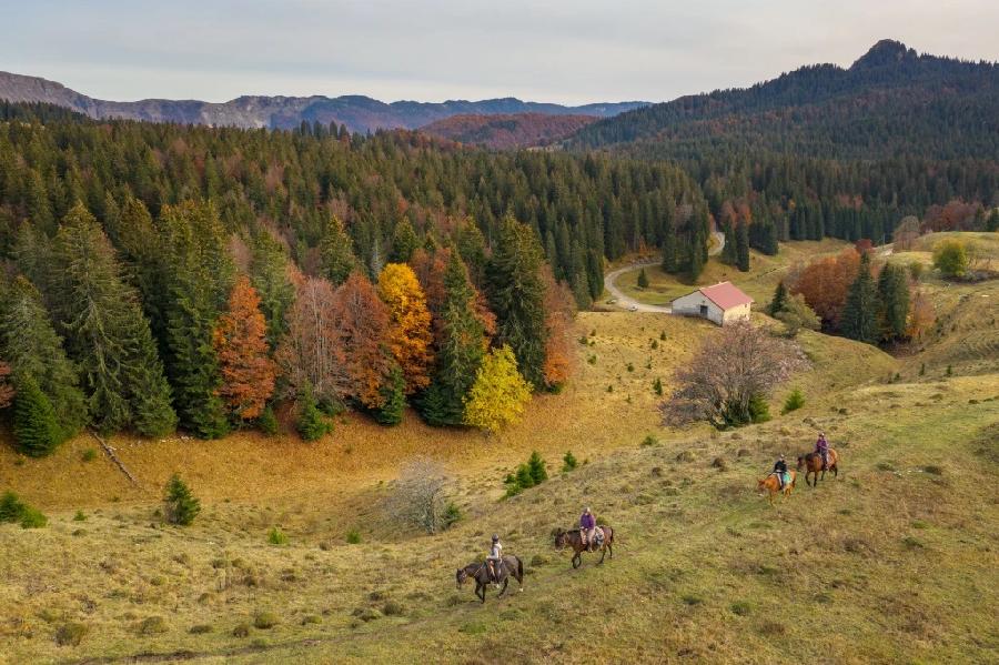 Sjour questre Jura PNR du Haut-Jura photo 4