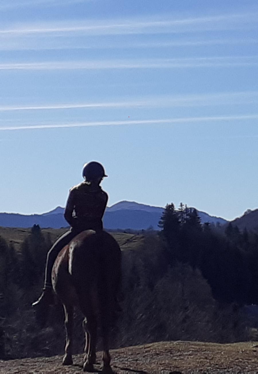 Balade  cheval   photo 2