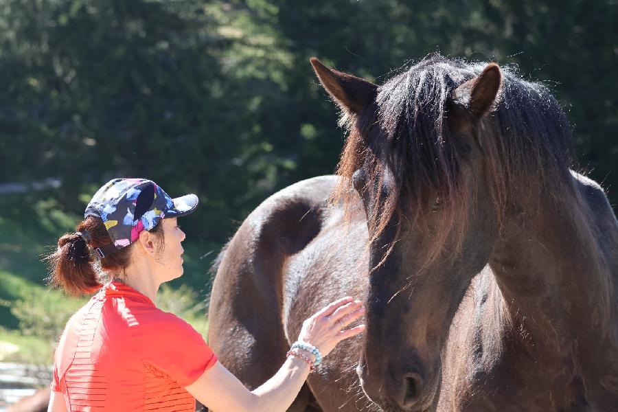 Balade  cheval   photo 5