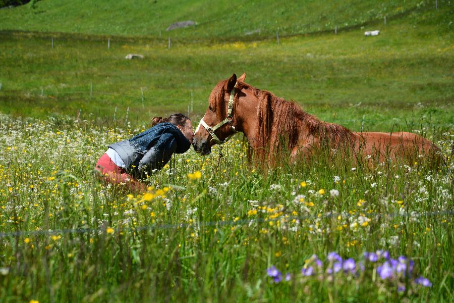 Balade  cheval   photo 6