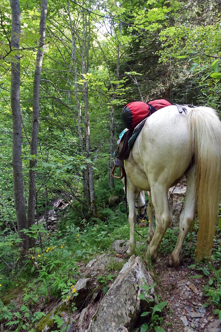 Sjour questre Isre Valle du Haut Brda photo 2