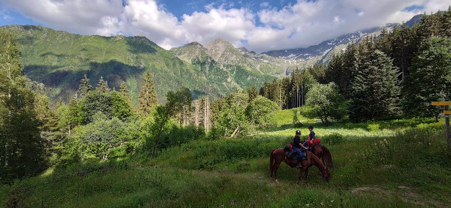 Sjour questre Isre Valle du Haut Brda photo 5