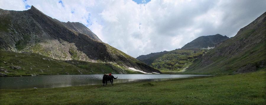 Voyage  cheval Alpes-Maritimes  photo 4