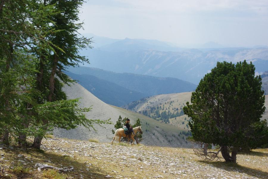 Sjour questre Alpes de Haute-Provence  photo 4