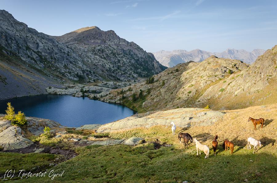 sejour Alpes-Maritimes  photo 4