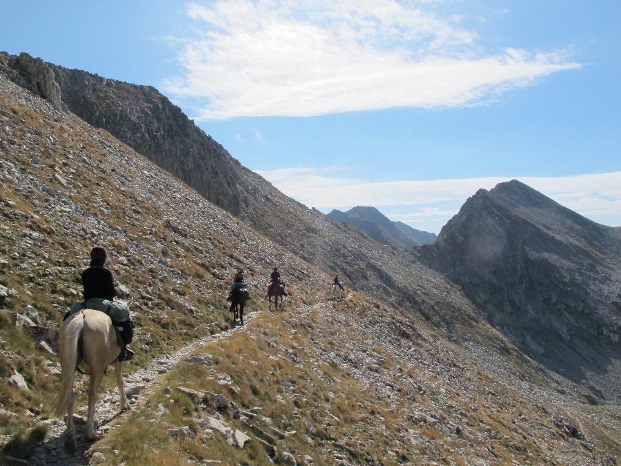 Sjour questre Alpes-Maritimes 