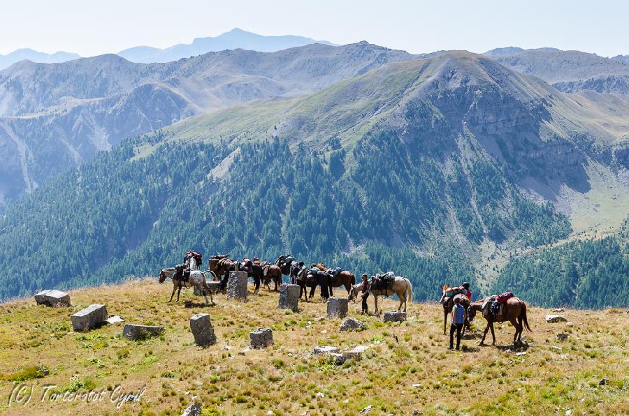 sejour Alpes de Haute-Provence  photo 5