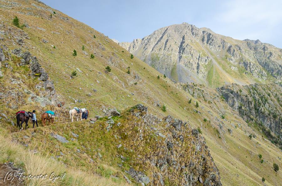sejour Alpes de Haute-Provence  photo 3