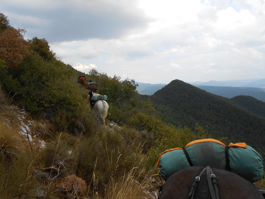 Voyage  cheval Hautes-Alpes  photo 2