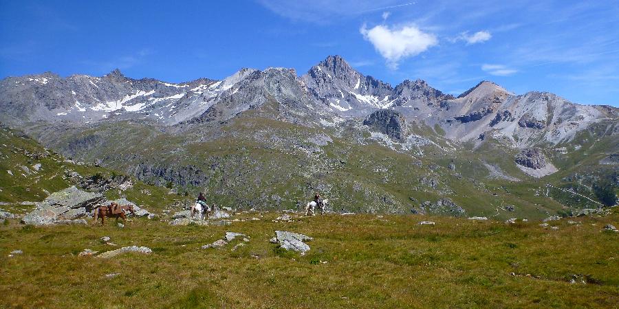 Sjour questre Savoie  photo 3