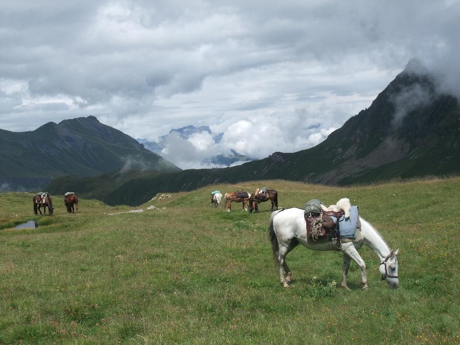 Sjour questre Savoie  photo 4