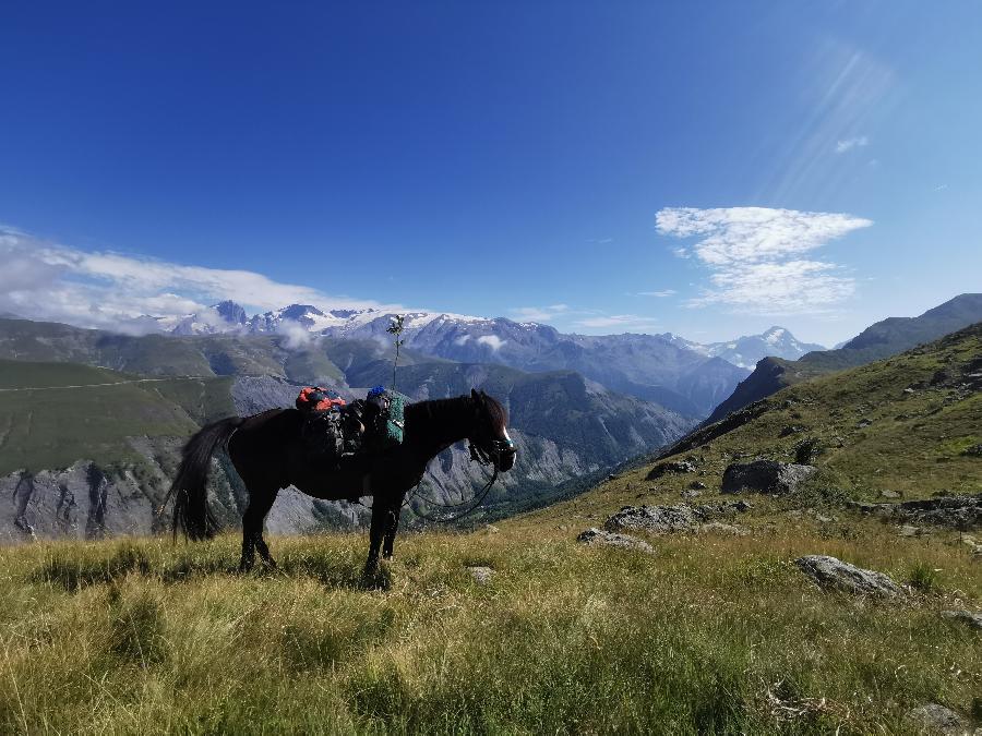 rando Voyage  cheval Isre